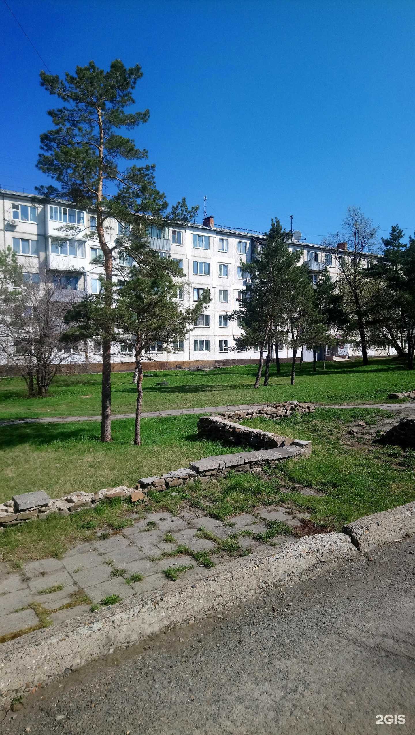 Отзывы на компанию Красивые питомцы в Кемерове c фото - фотография 2 из 2