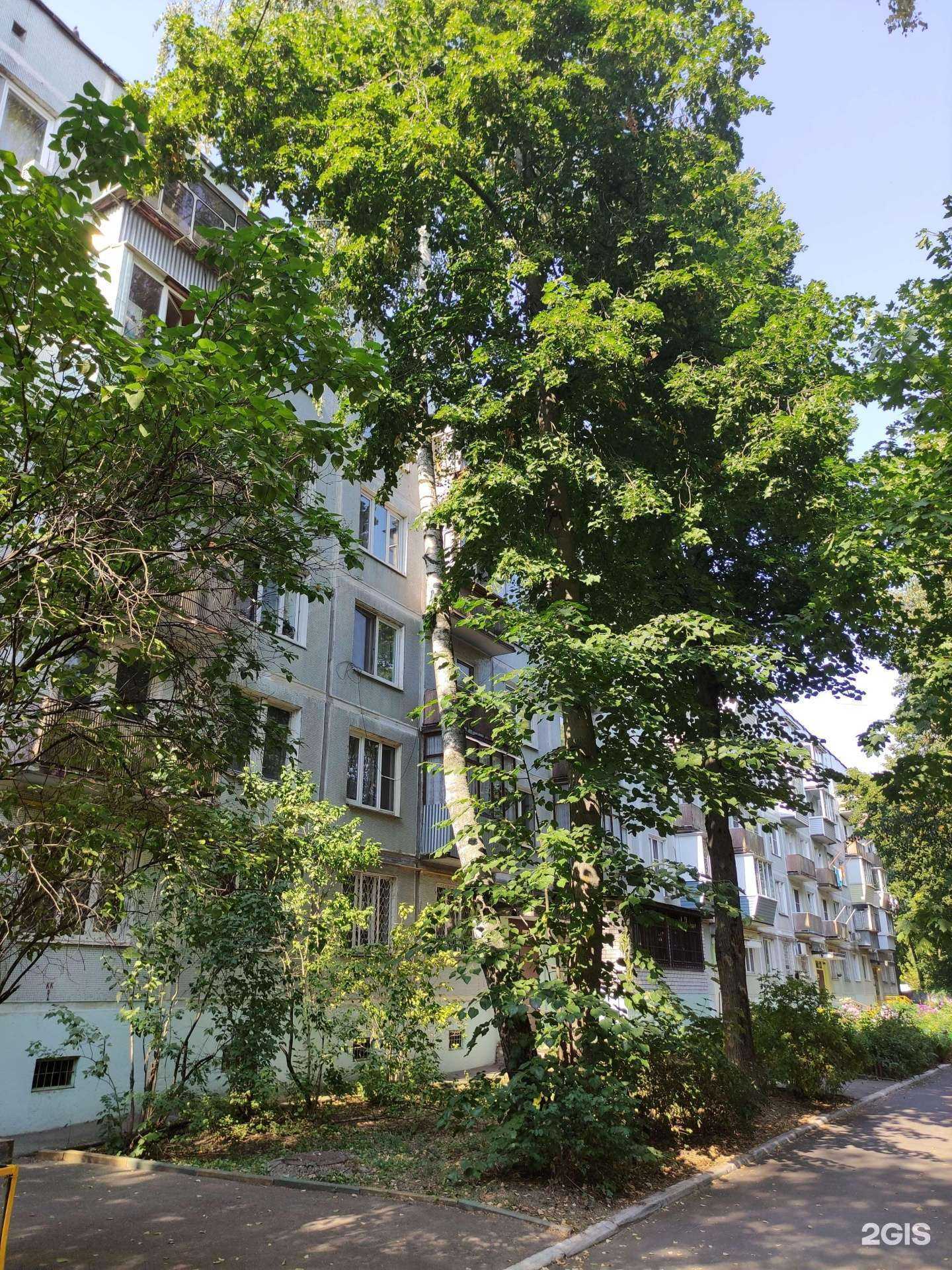 Отзывы на компанию Улыбка радуги в Щёлкове c фото