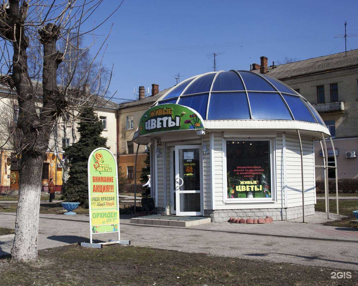 Отзывы на компанию Живые цветы в г. Брянск c фото