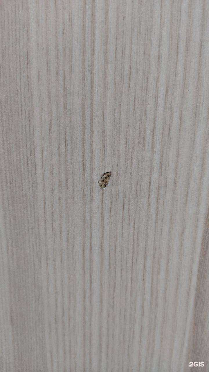 Отзывы на компанию DPD Pickup в Челябинске c фото