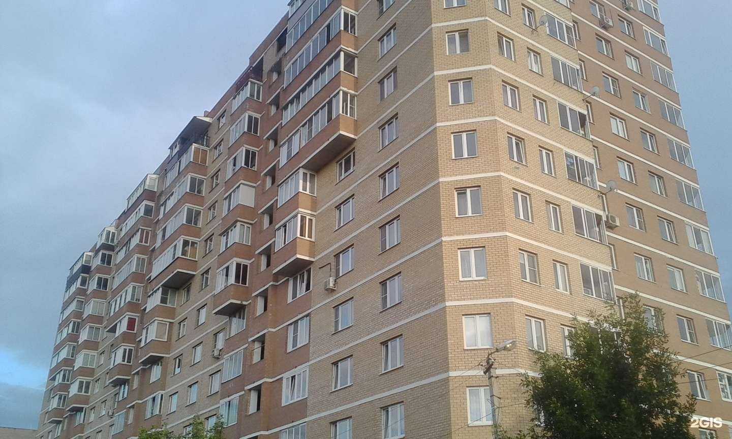 Отзывы на компанию Эрудит в Истре c фото - фотография 2 из 2