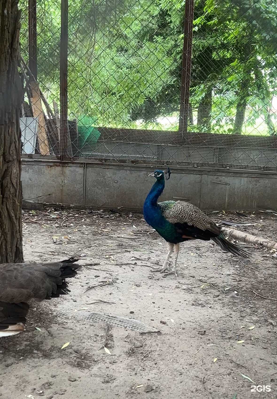 Отзывы на компанию МРТ Технологии в г. Новосибирск c фото