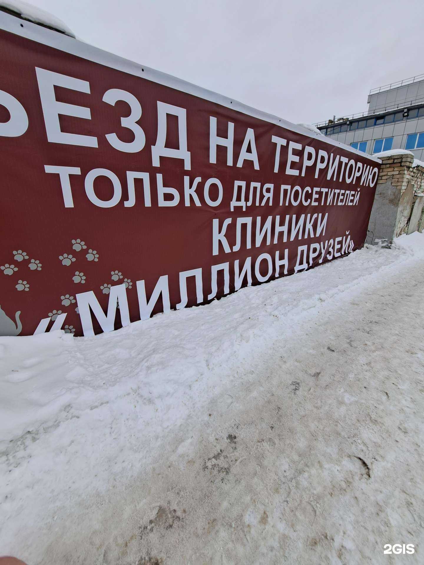 Отзывы на компанию Миллион Друзей в г. Ярославль c фото