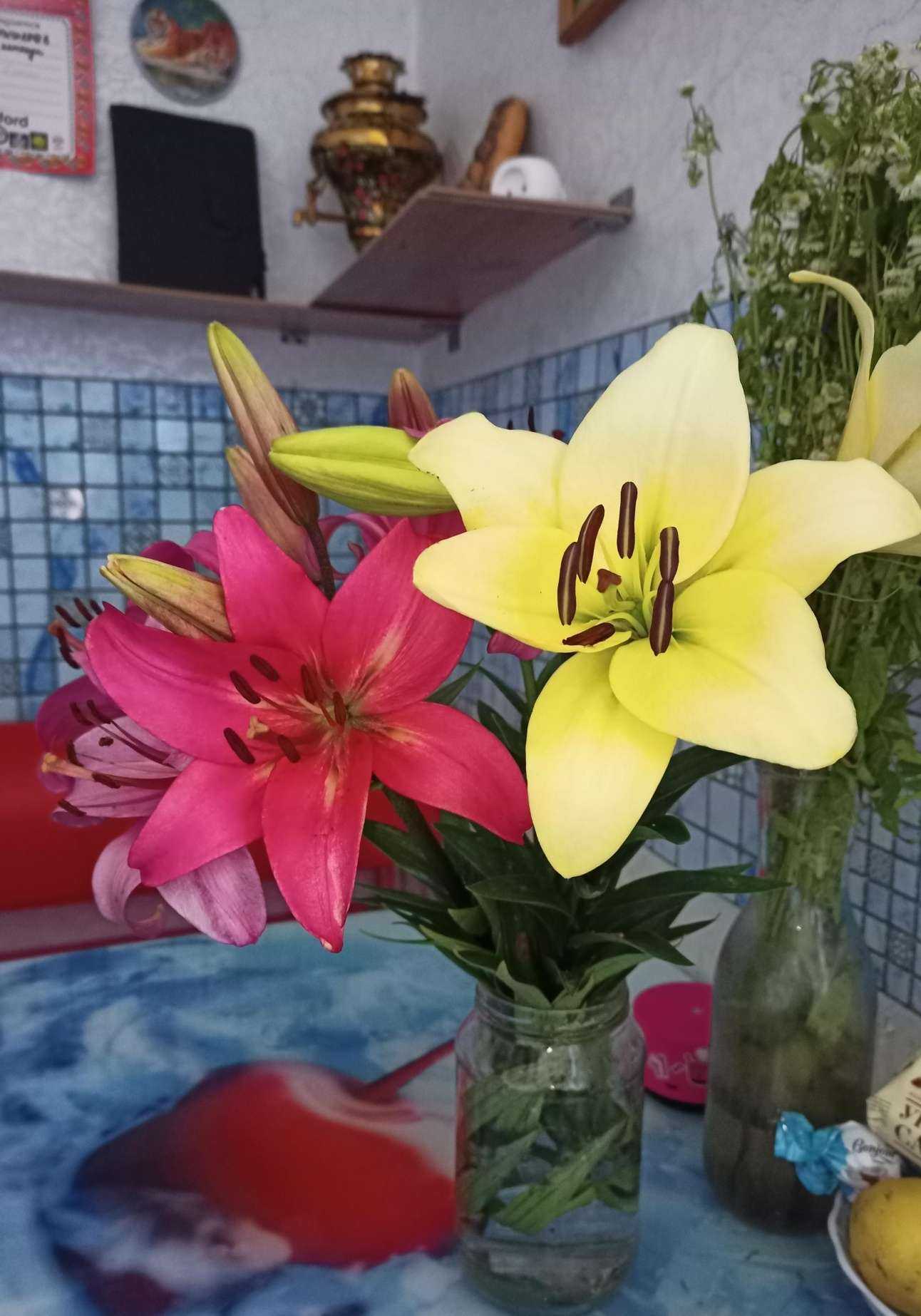 Отзывы на компанию Лилия в г. Кострома c фото