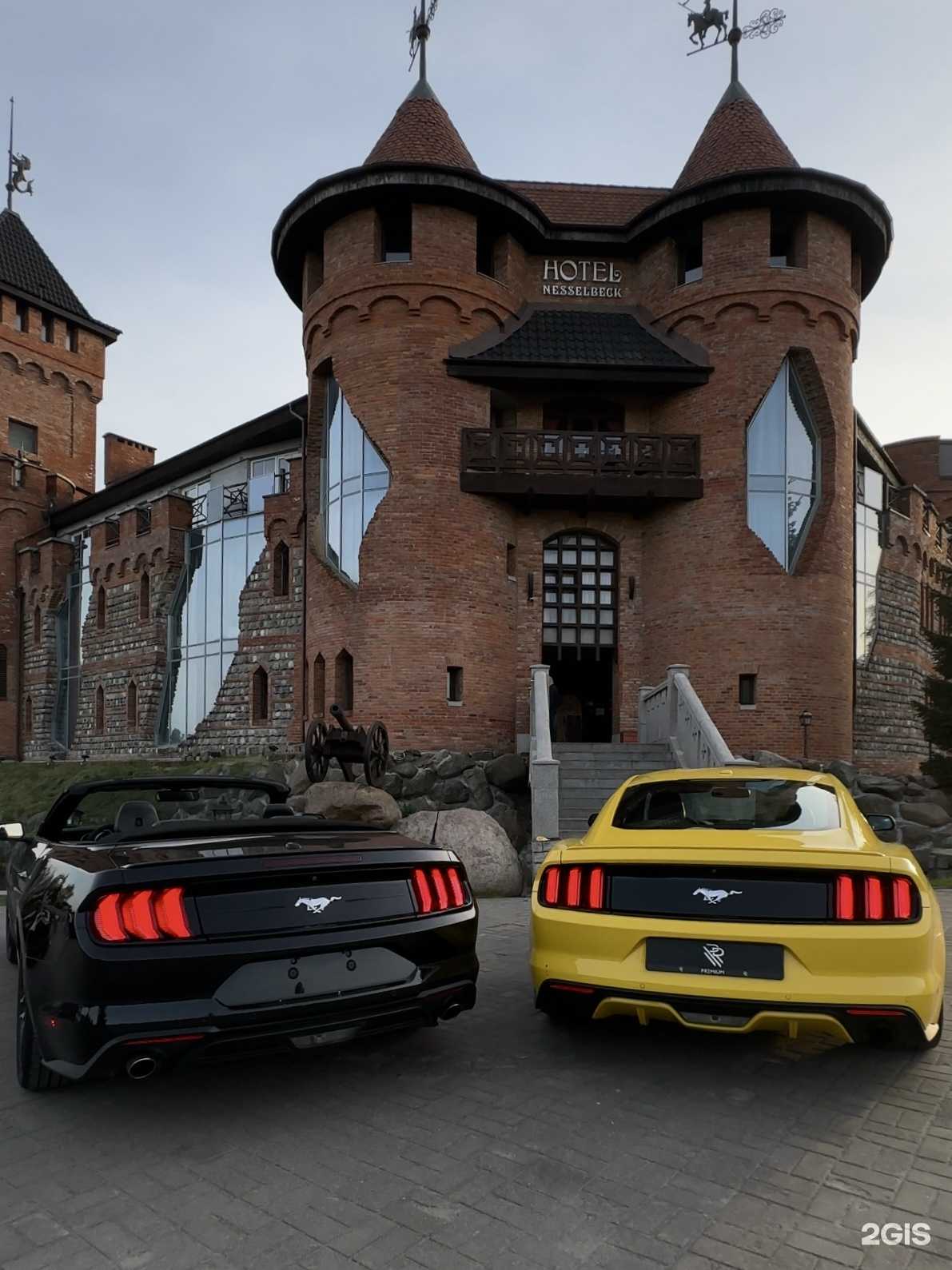 Отзывы на компанию Премиум в г. Калининград c фото