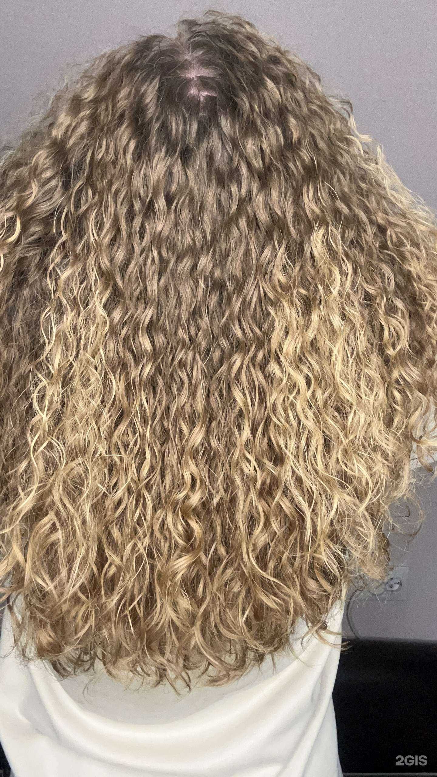 Отзывы на компанию ПроКудри в г. Абакан c фото