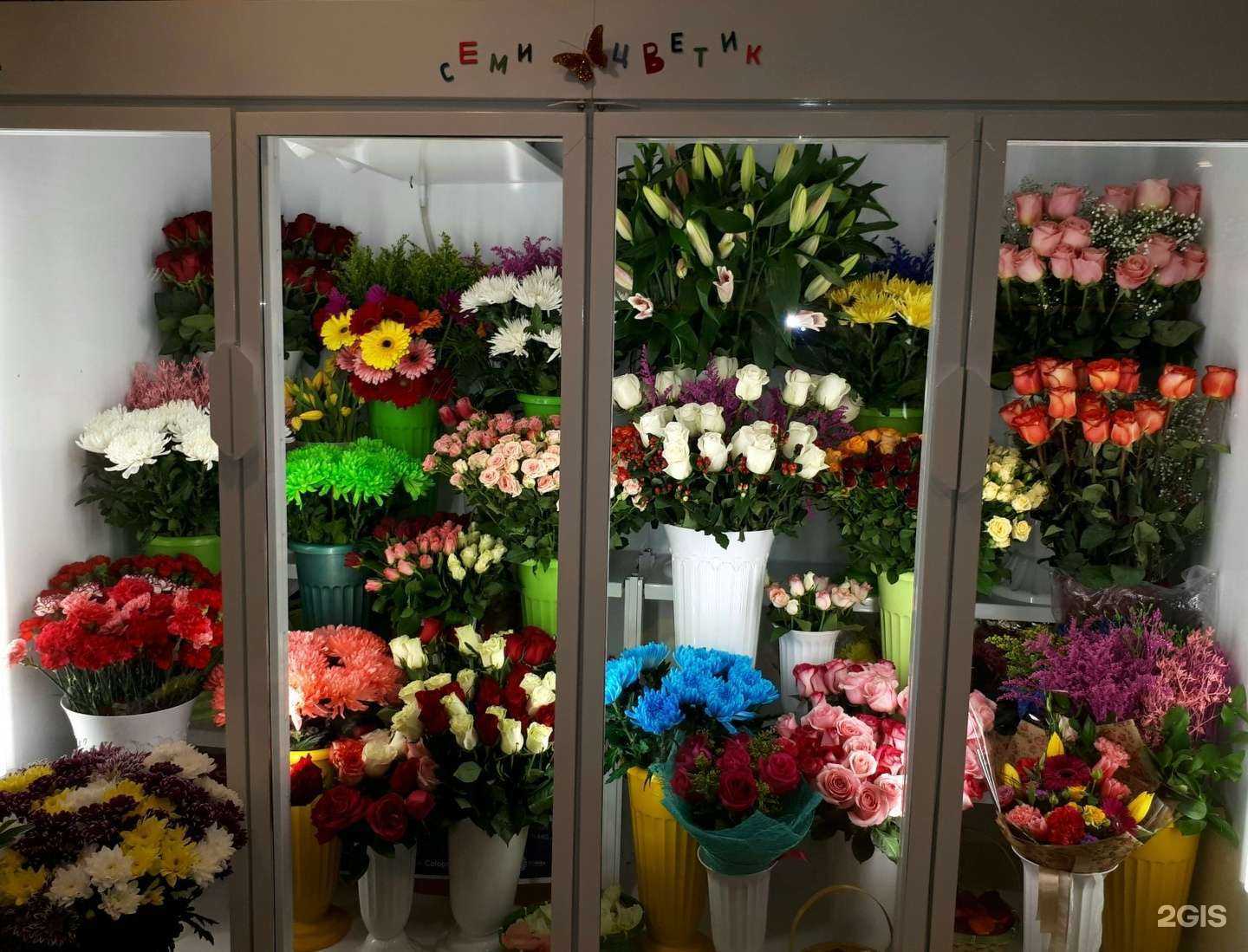 Отзывы на компанию Семицветик в Шелехове c фото