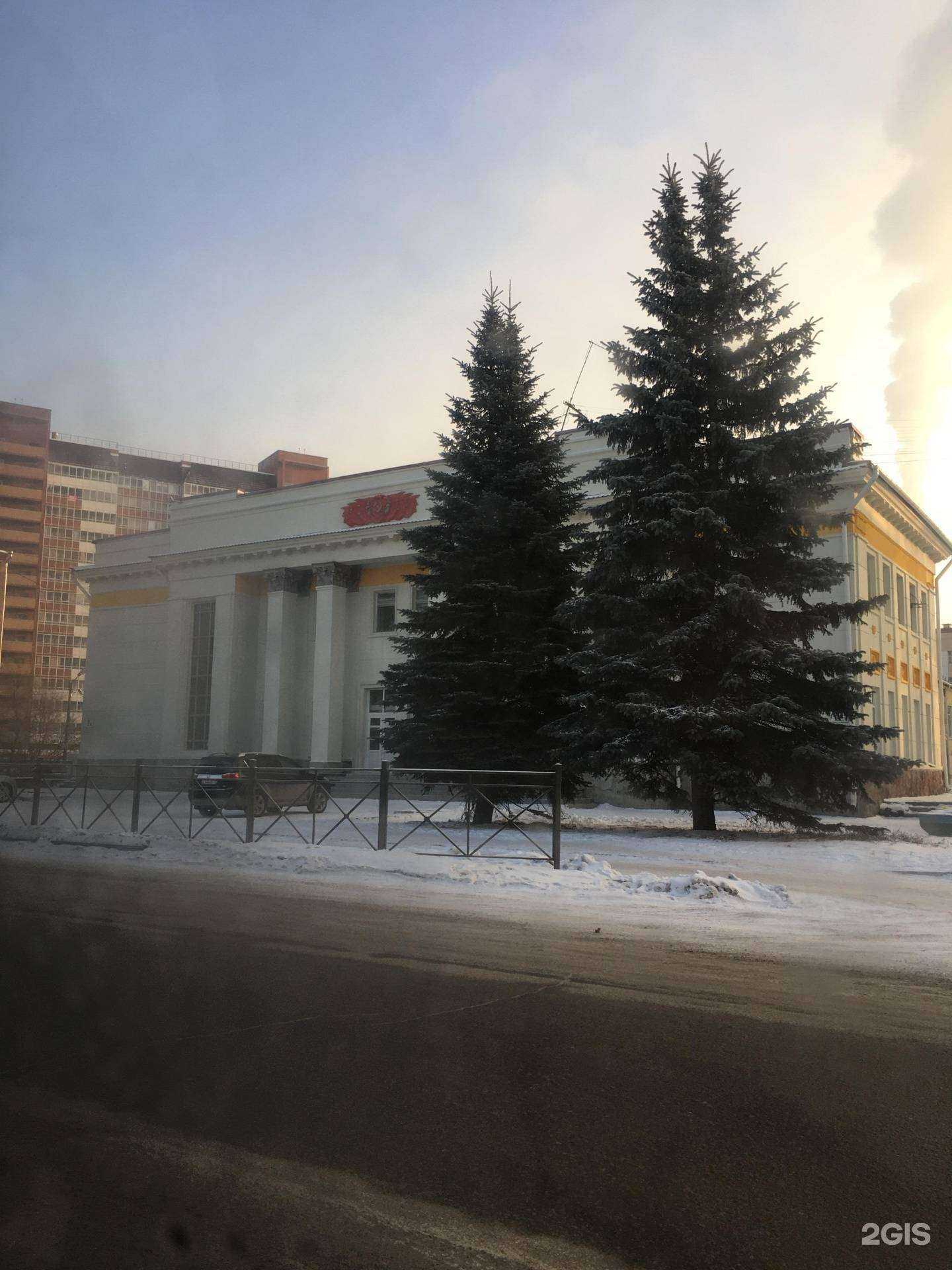 Отзывы на компанию Живой дом-кошки в Красноярске c фото - фотография 2 из 2