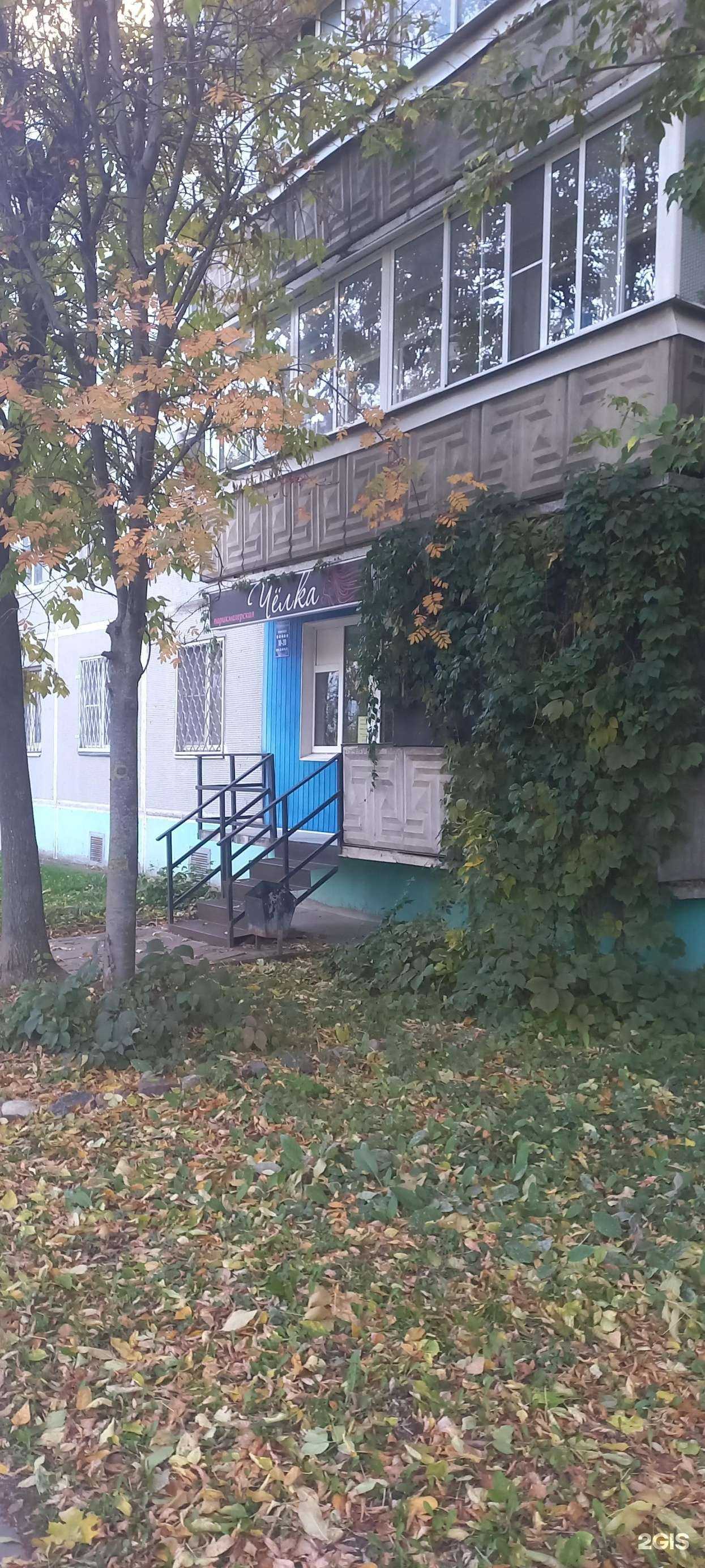 Отзывы на компанию Челка в г. Тверь c фото