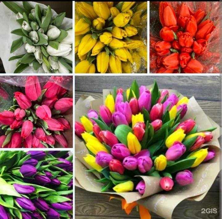 Отзывы на компанию Рай цветов и игрушек в Казани c фото