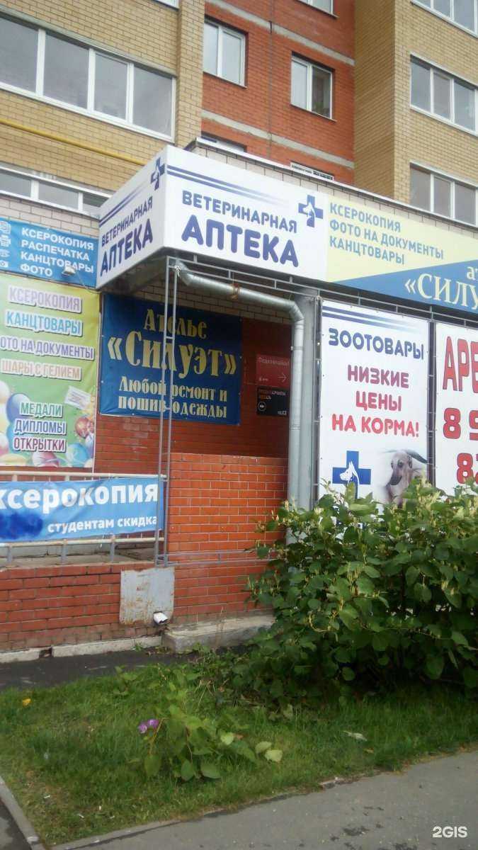 Отзывы на компанию Котофей в г. Ижевск c фото