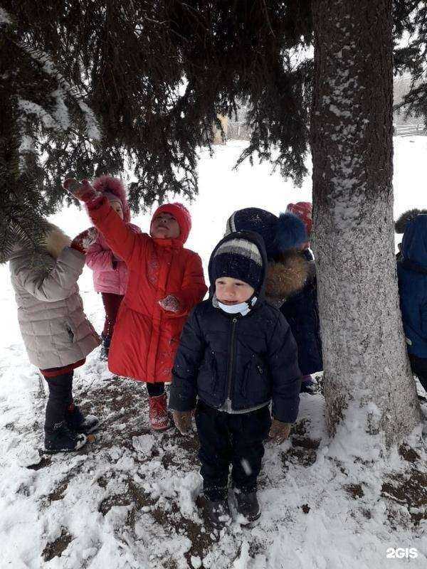 Отзывы на компанию Ёлочка в Новошахтинске c фото