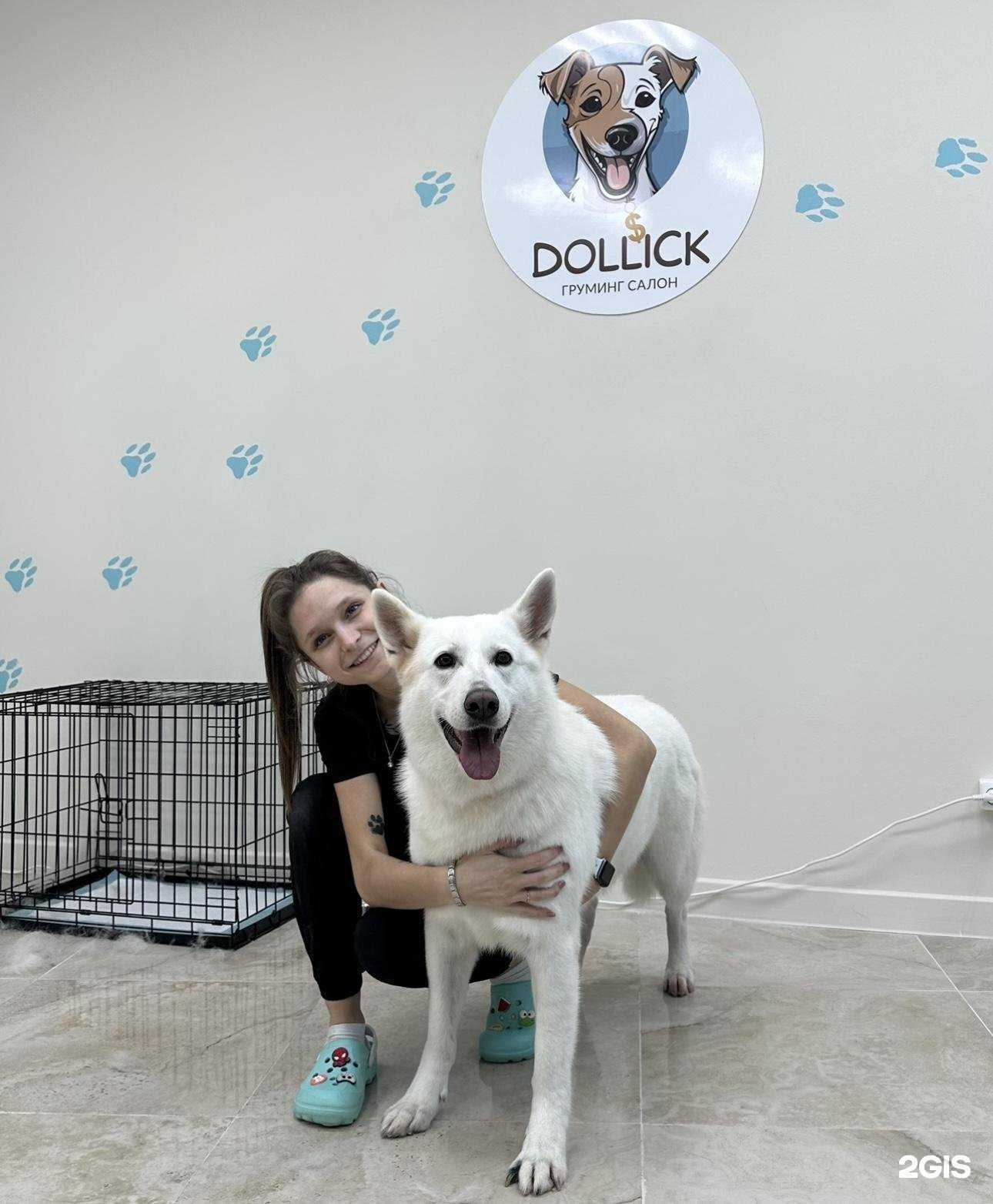 Отзывы на компанию Dollick в г. Сочи c фото