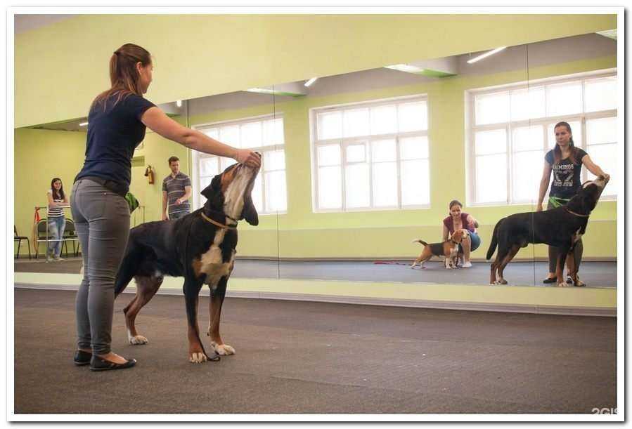 Отзывы на компанию Баскервиль в Нижнем Новгороде c фото