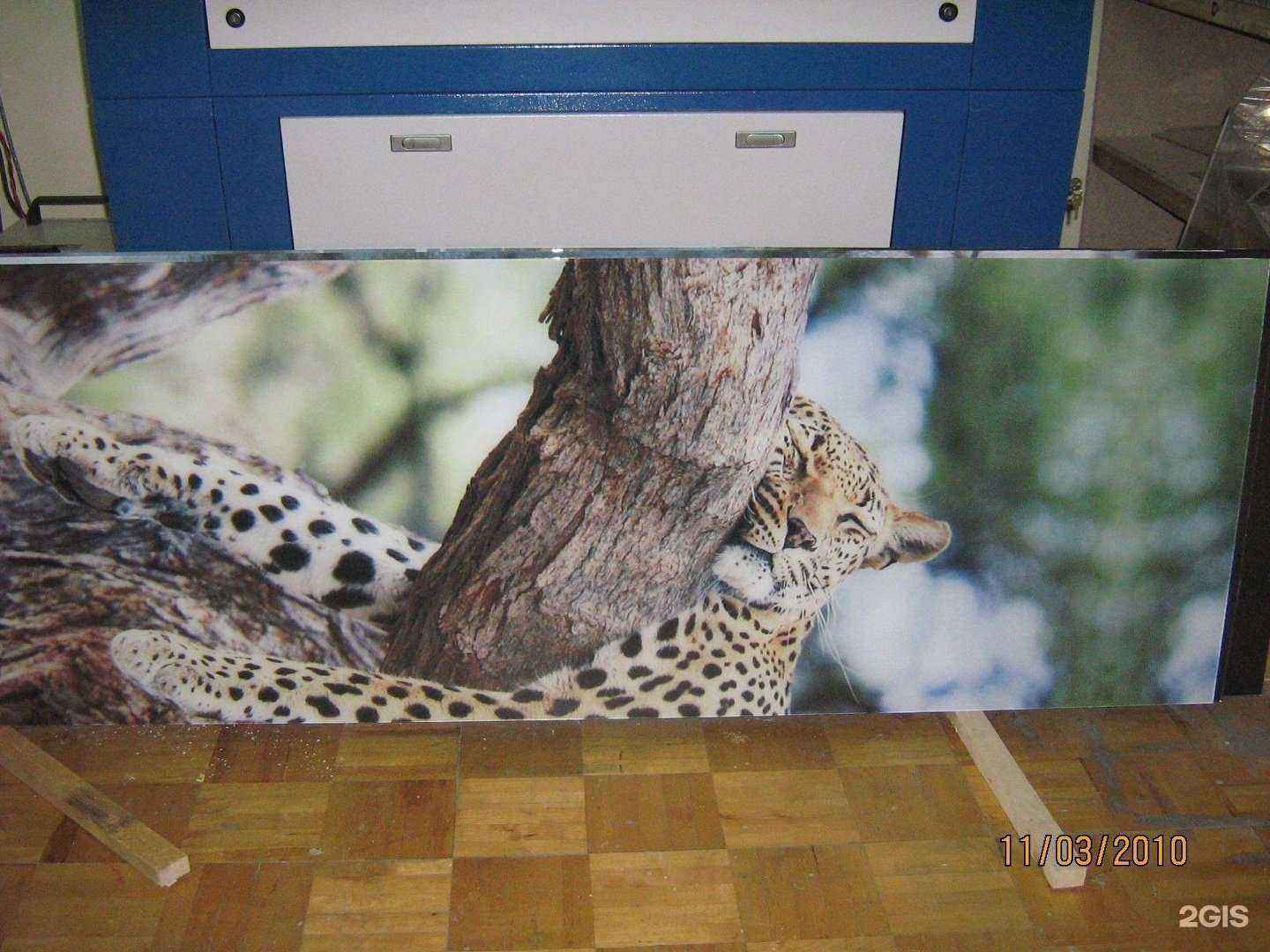 Отзывы на компанию МегаЛайн в Ижевске c фото