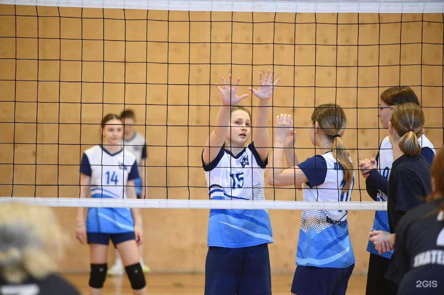 Отзывы на компанию Академия волейбола в Екатеринбурге c фото