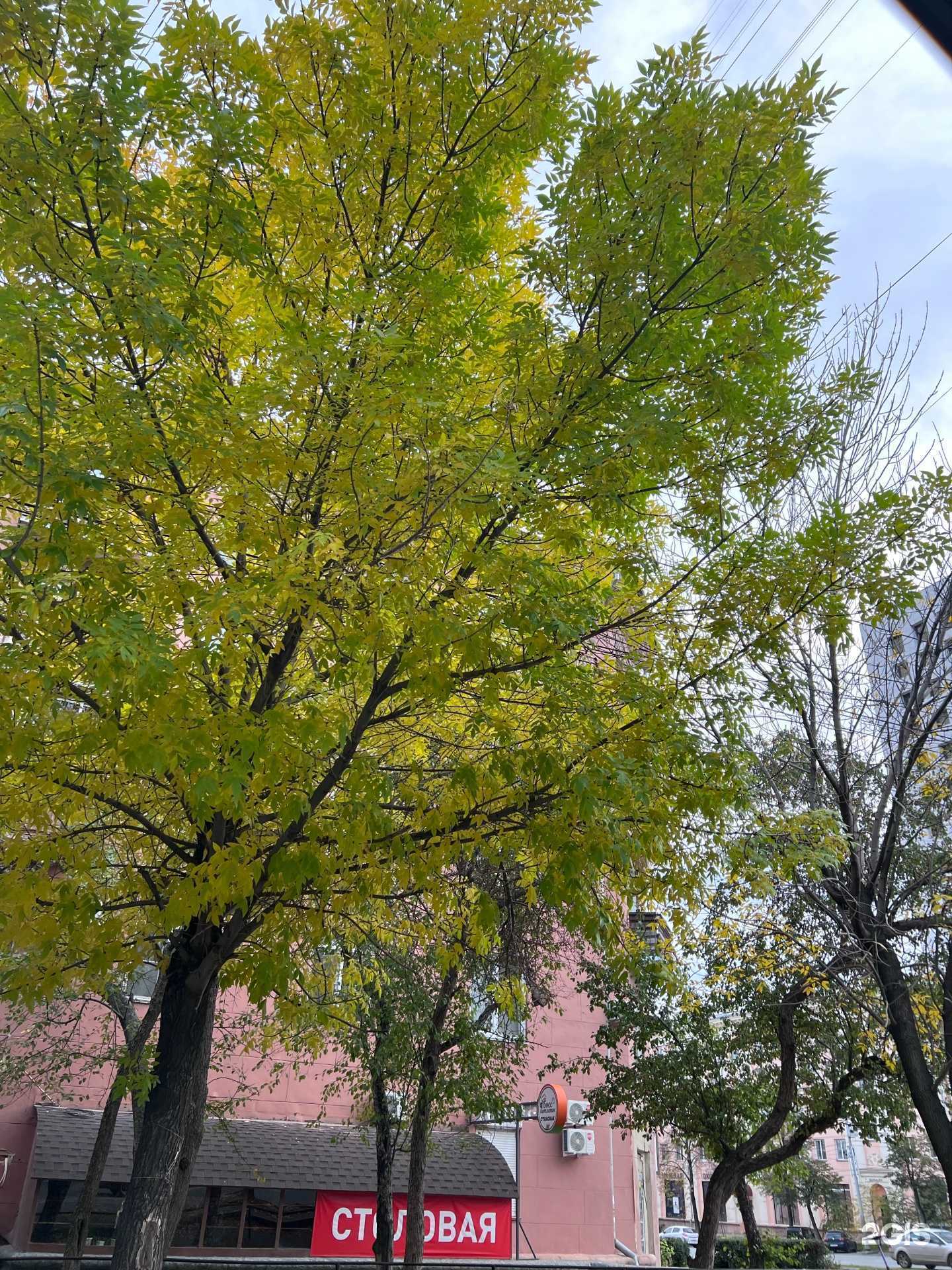 Отзывы на компанию ЭТНО-СПА в г. Челябинск c фото