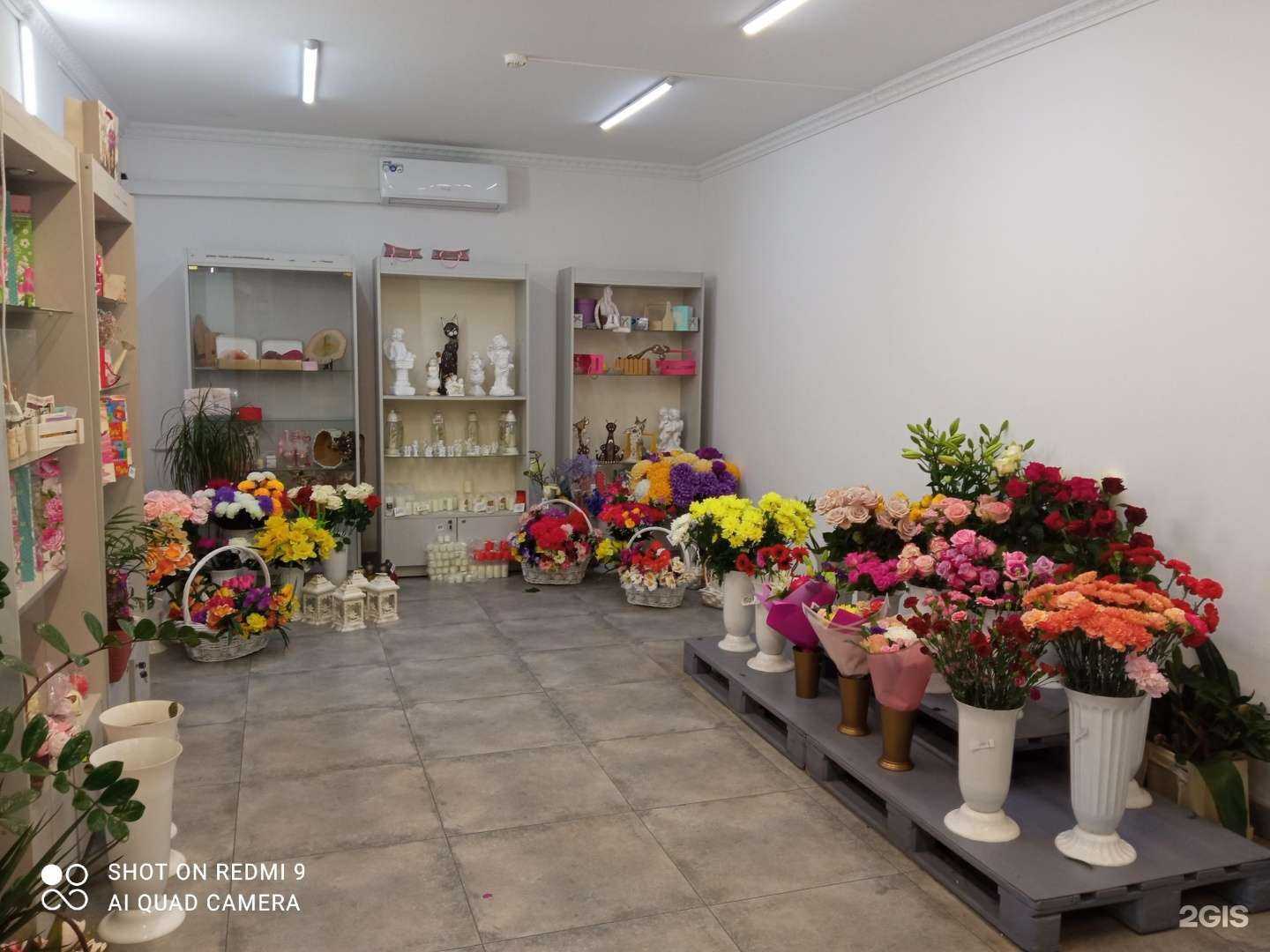 Отзывы на компанию Лилия в Светлом c фото