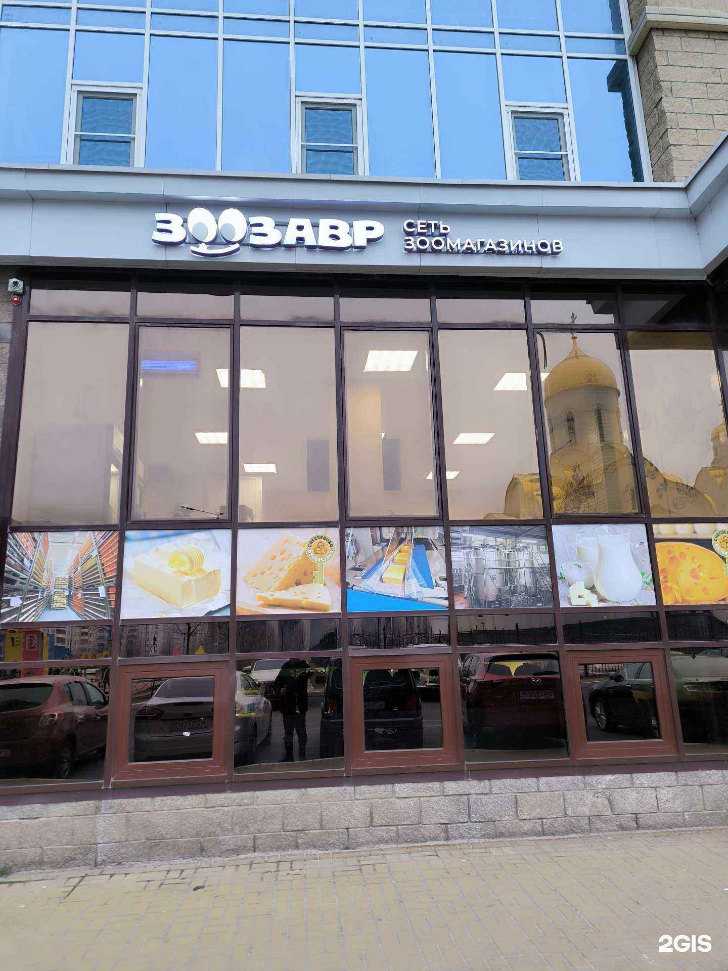 Отзывы на компанию Зоозавр в Курске c фото