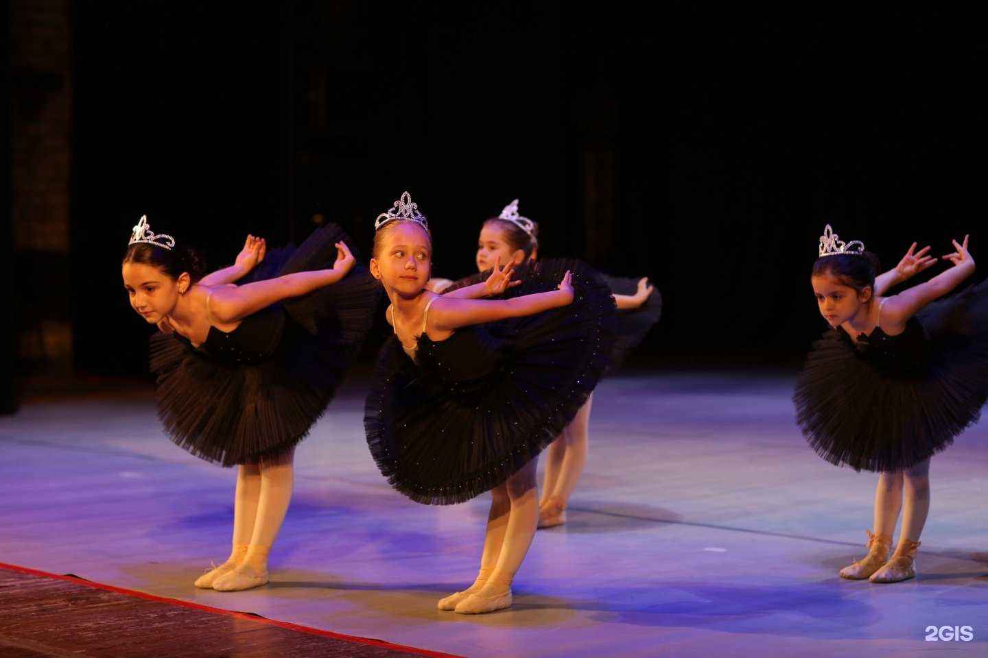 Отзывы на компанию Lil Ballerine в г. Геленджик c фото