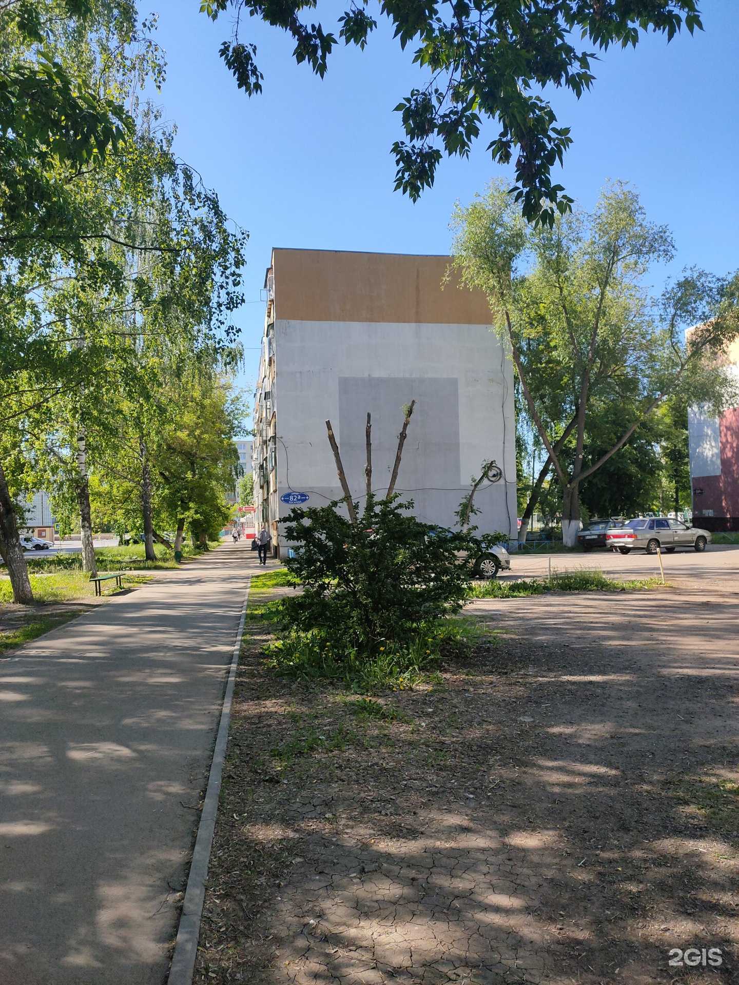 Отзывы на компанию Максавит в Саранске c фото - фотография 2 из 2