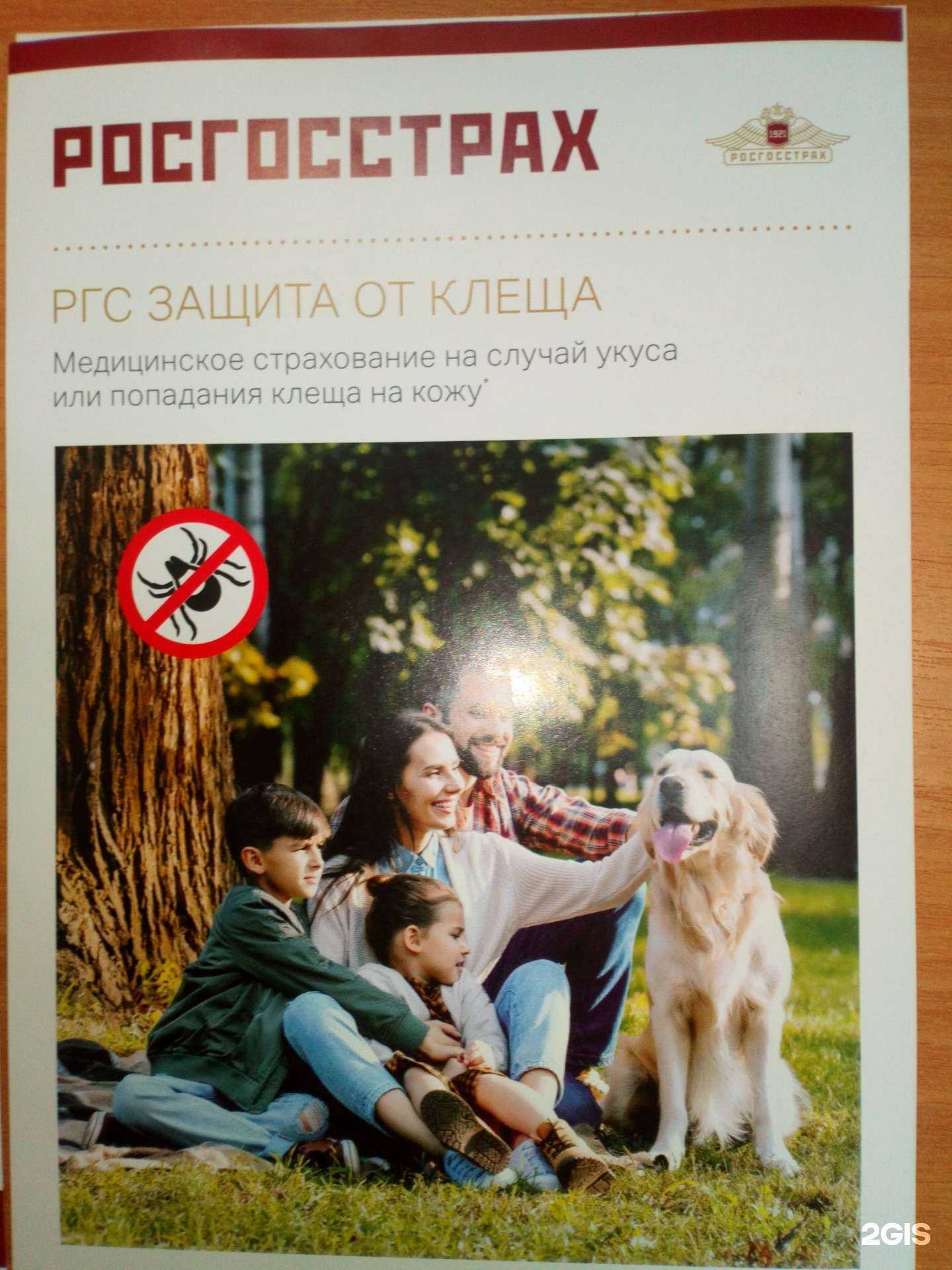 Отзывы на компанию Страховой агент в Самаре c фото