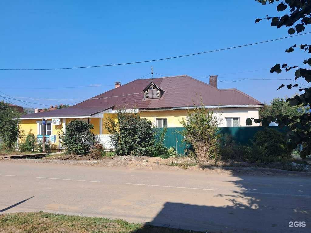 Отзывы на компанию Любимые лапки в Жигулевске c фото - фотография 2 из 2