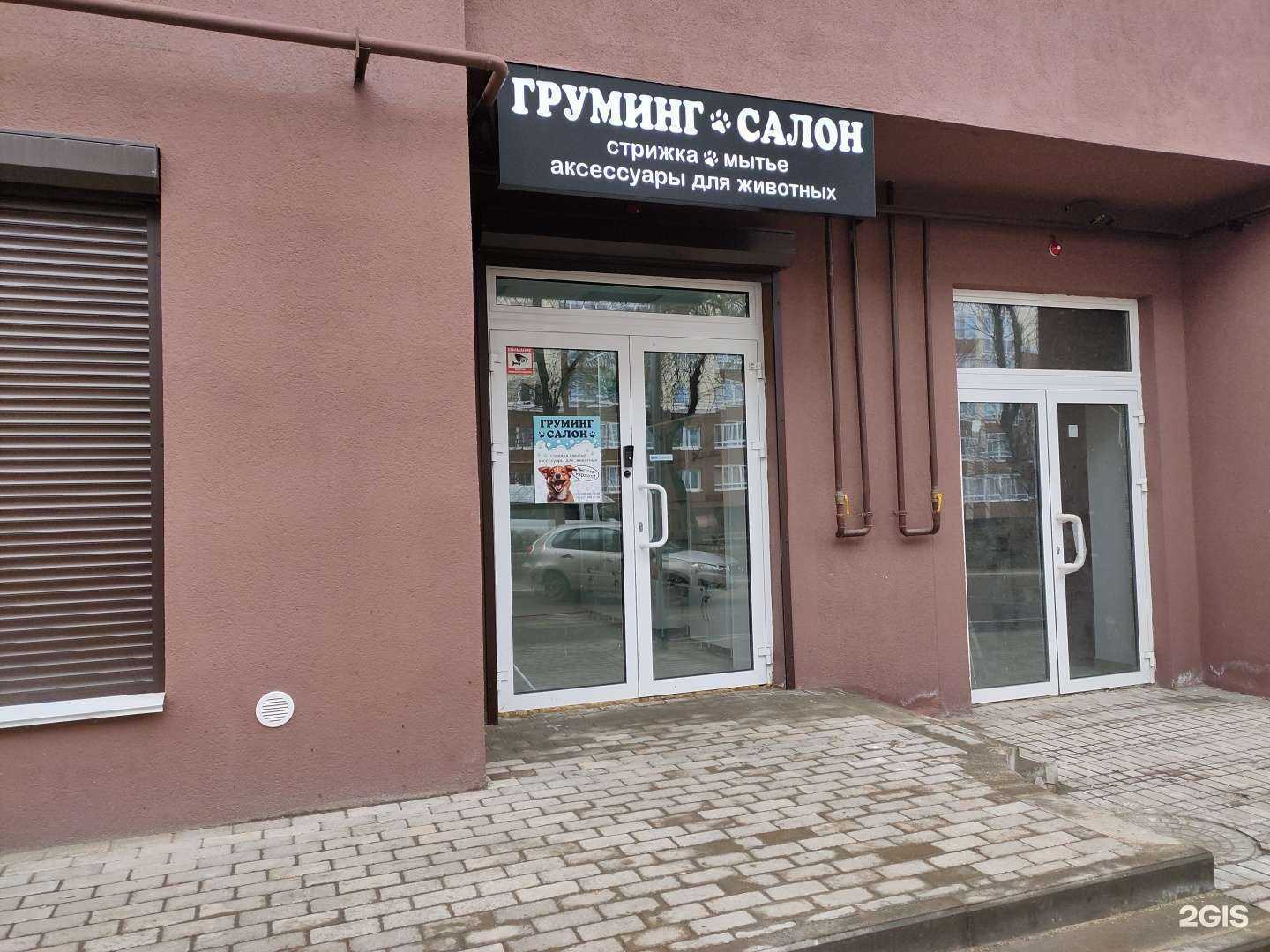 Отзывы на компанию Груминг салон  в г. Саранск c фото