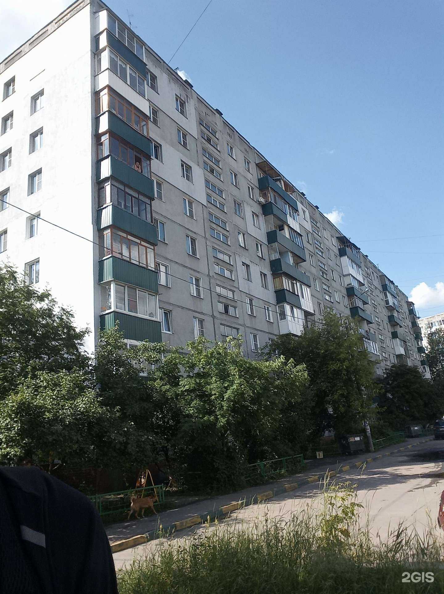 Отзывы на компанию Маленький Лондон в Нижнем Новгороде c фото - фотография 2 из 2