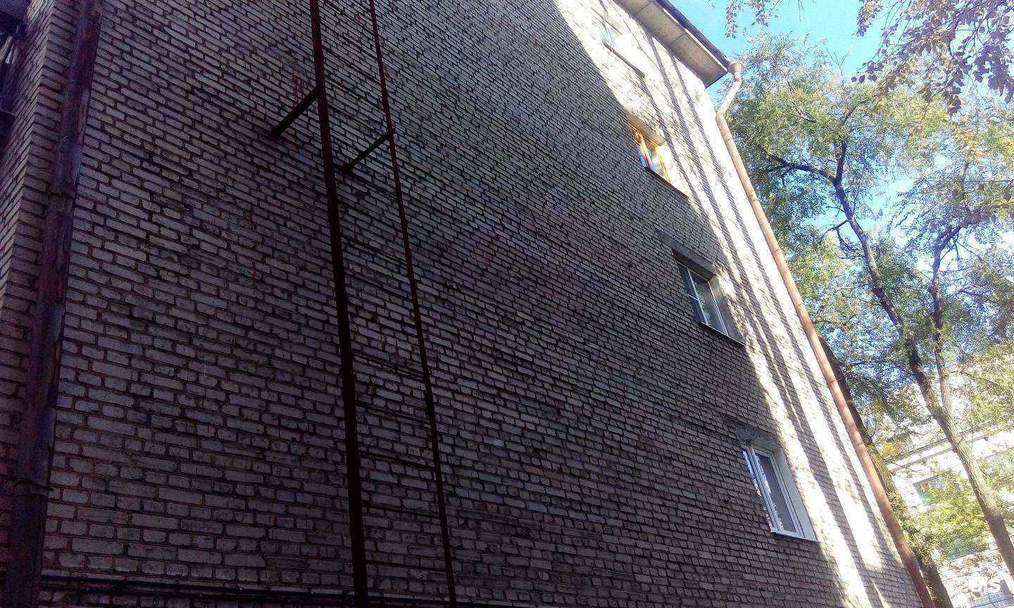 Отзывы на компанию Мохнатый бро в Туле c фото - фотография 2 из 2