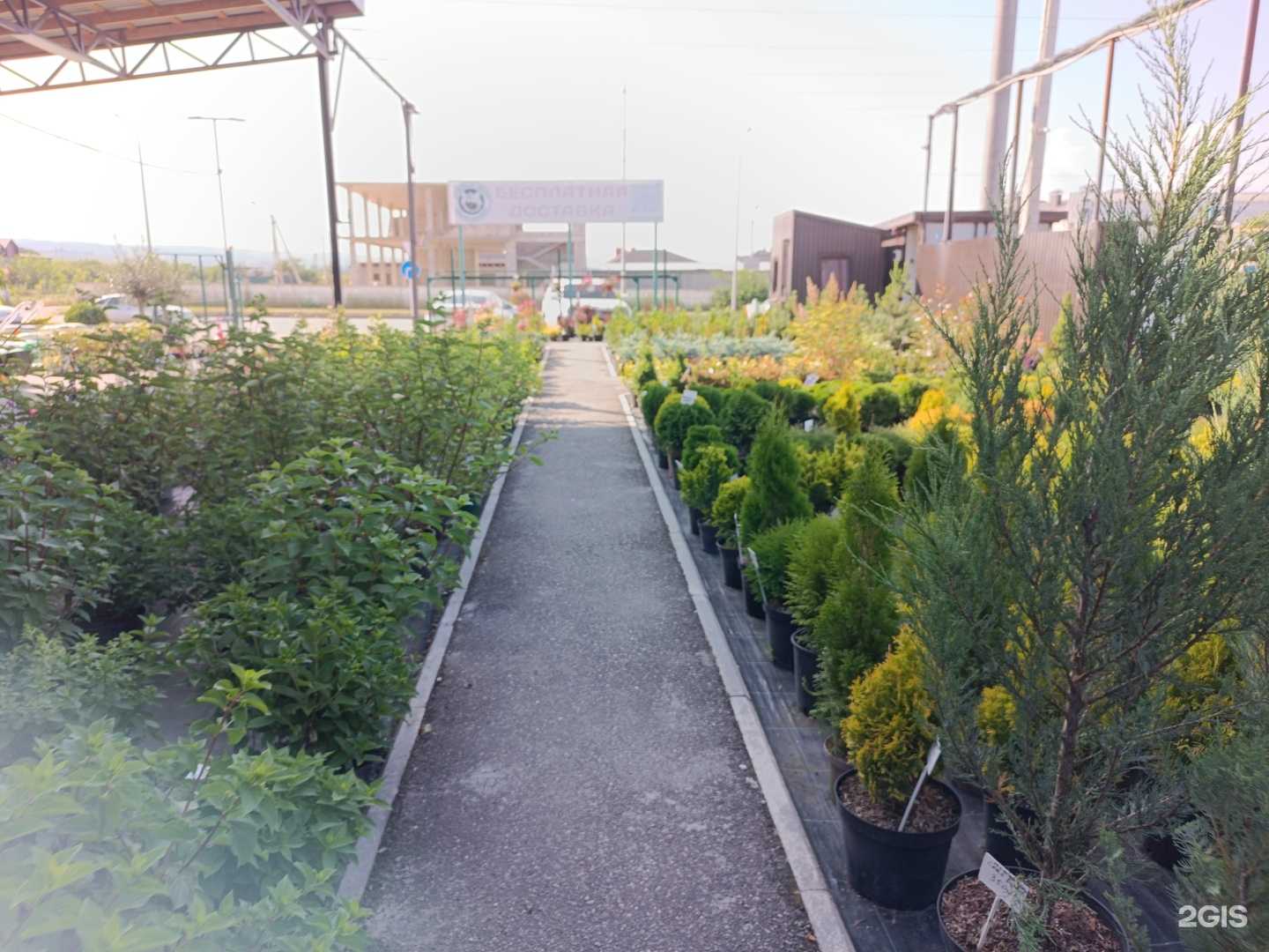 Отзывы на компанию Садовод07 в Нальчике c фото