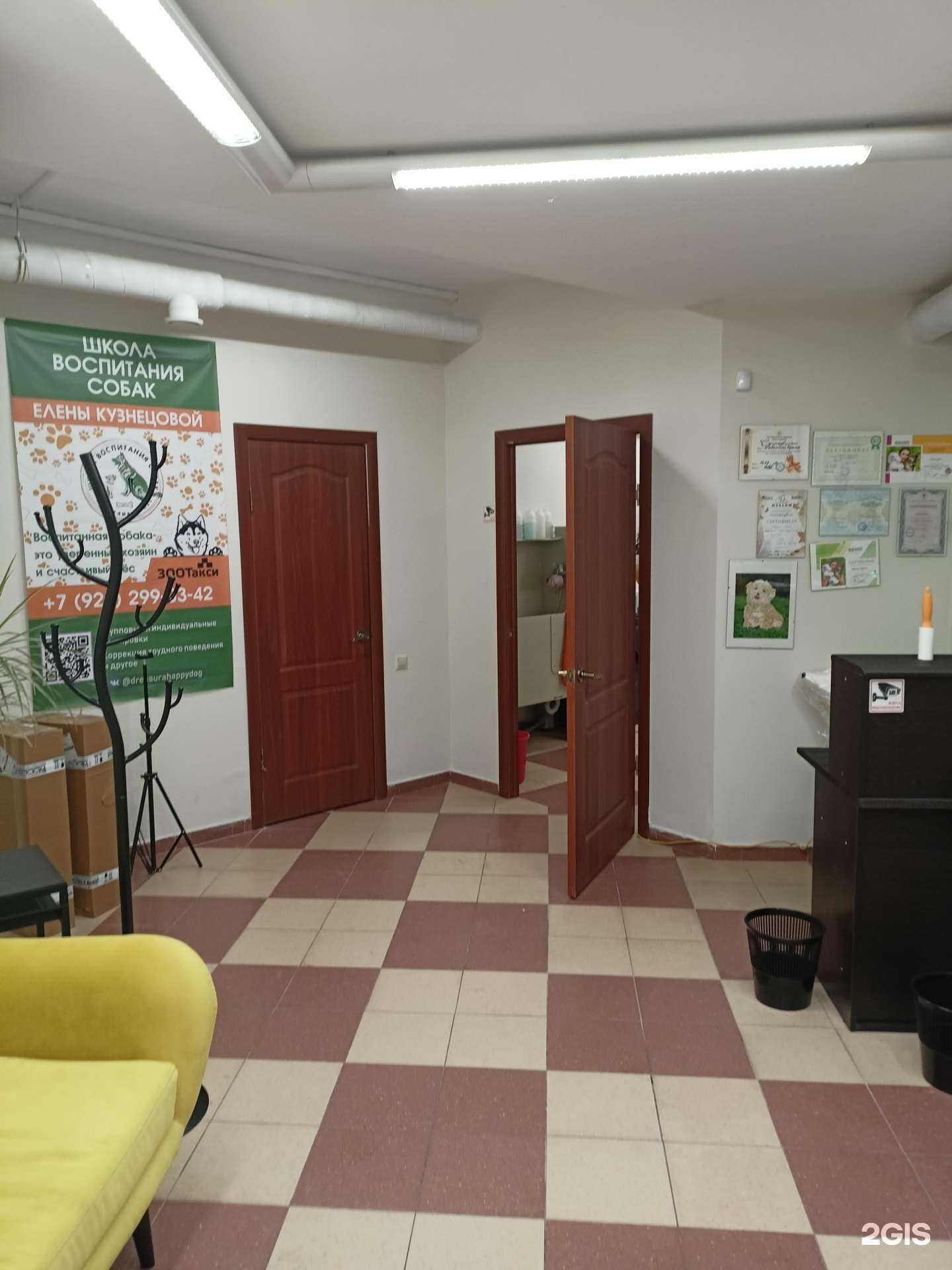 Отзывы на компанию Зоостудия в г. Раменское c фото