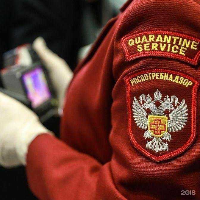 Отзывы на компанию Sdc72 в Тюмени c фото