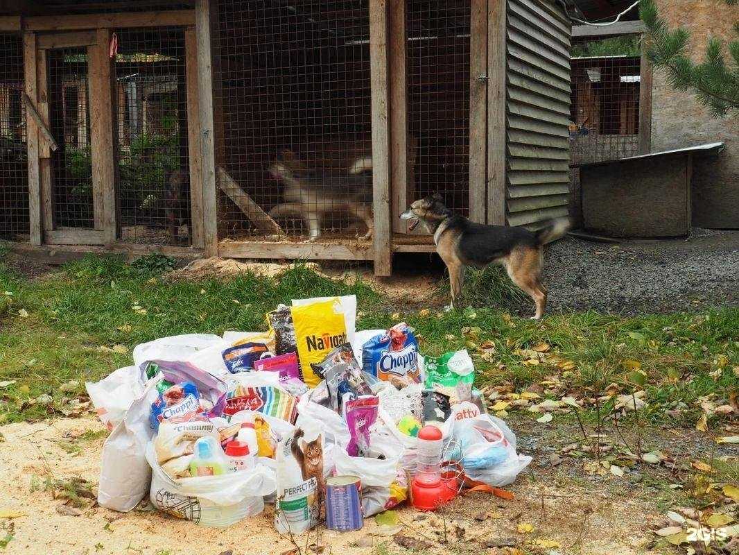 Отзывы на компанию Яблонька в г. Петрозаводск c фото