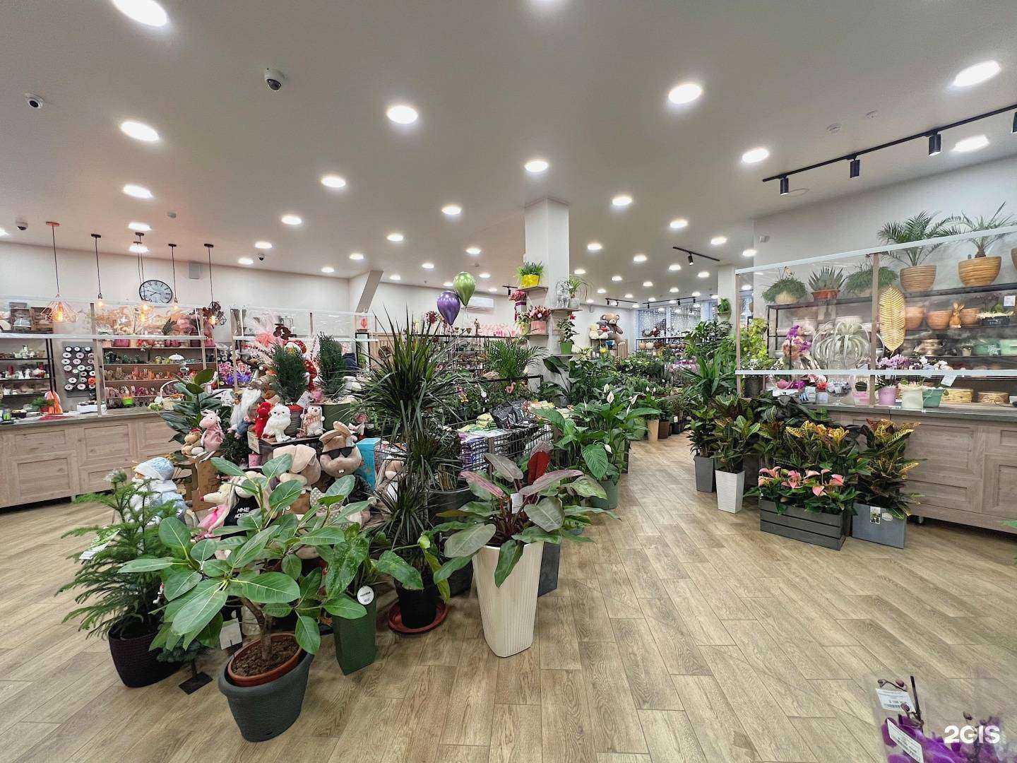 Отзывы на компанию Галерея цветов в г. Красноярск c фото