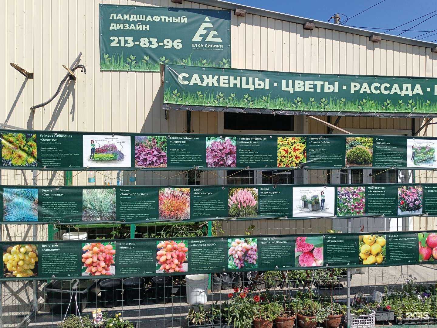 Отзывы на компанию Ёлка Сибири в г. Новосибирск c фото