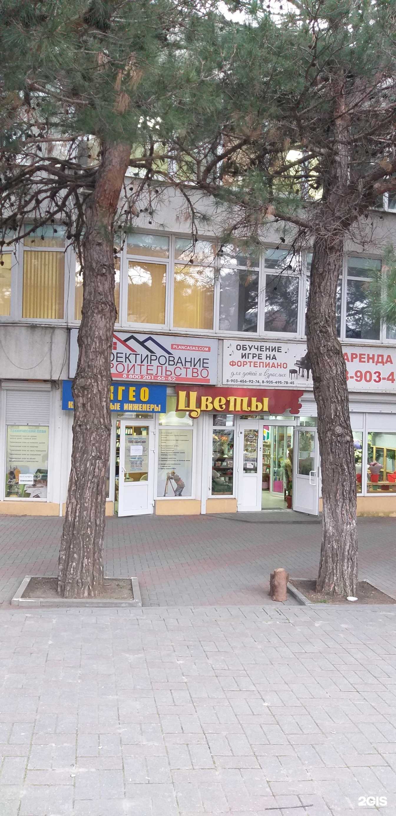 Отзывы на компанию Жасмин в Геленджике c фото - фотография 2 из 2