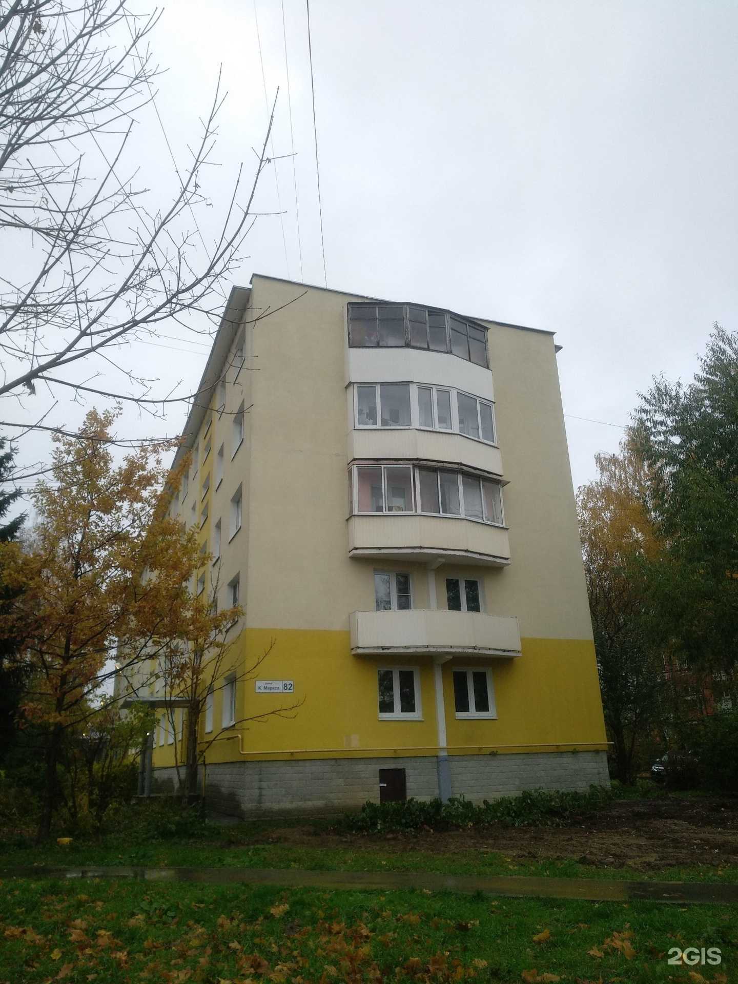 Отзывы на компанию Четыре лапы в Клине c фото - фотография 2 из 2