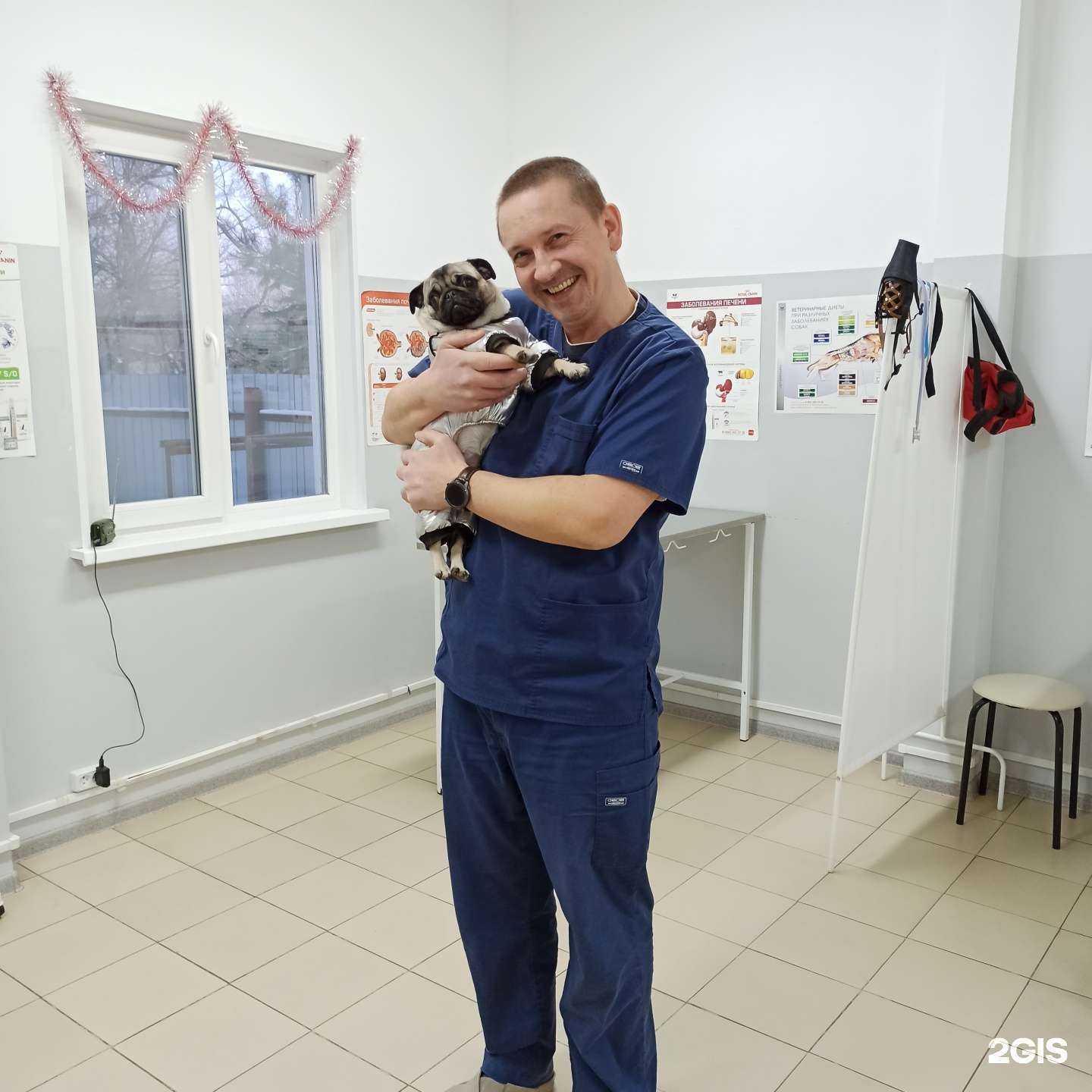 Отзывы на компанию Доктор Вет в Комсомольске-на-Амуре c фото