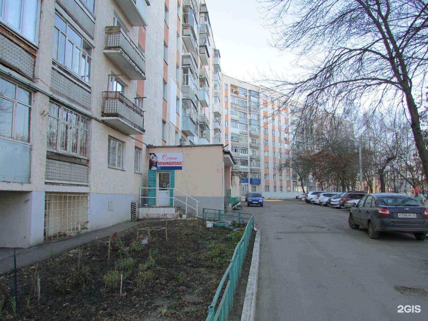 Отзывы на компанию София в г. Саранск c фото