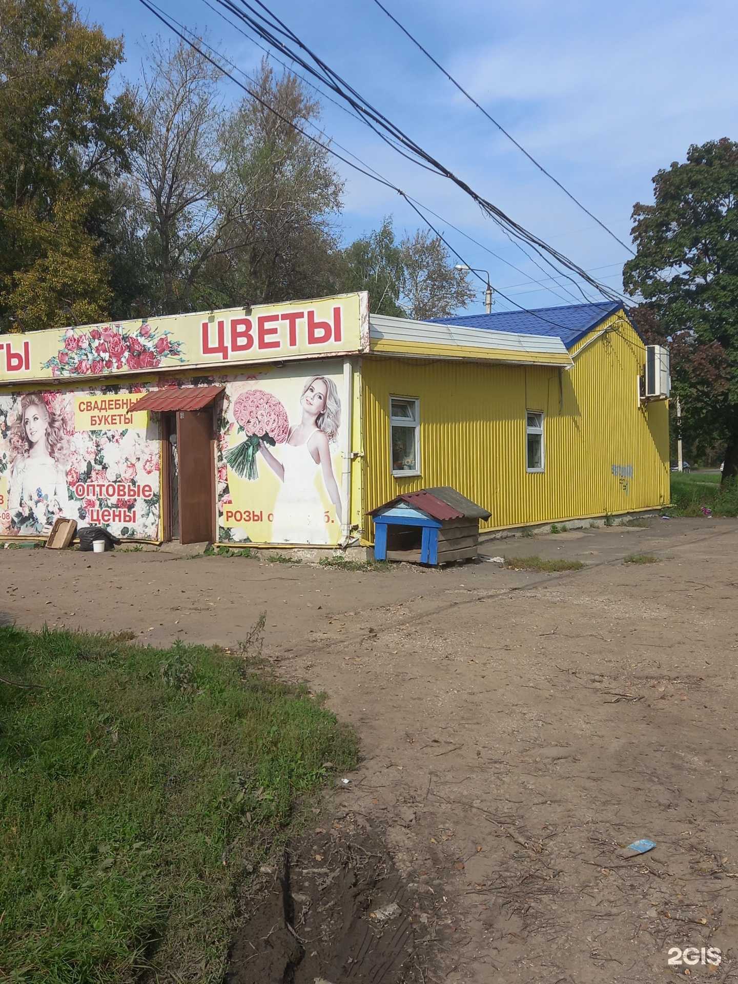 Отзывы на компанию Магазин цветов в Новомосковске c фото - фотография 2 из 2