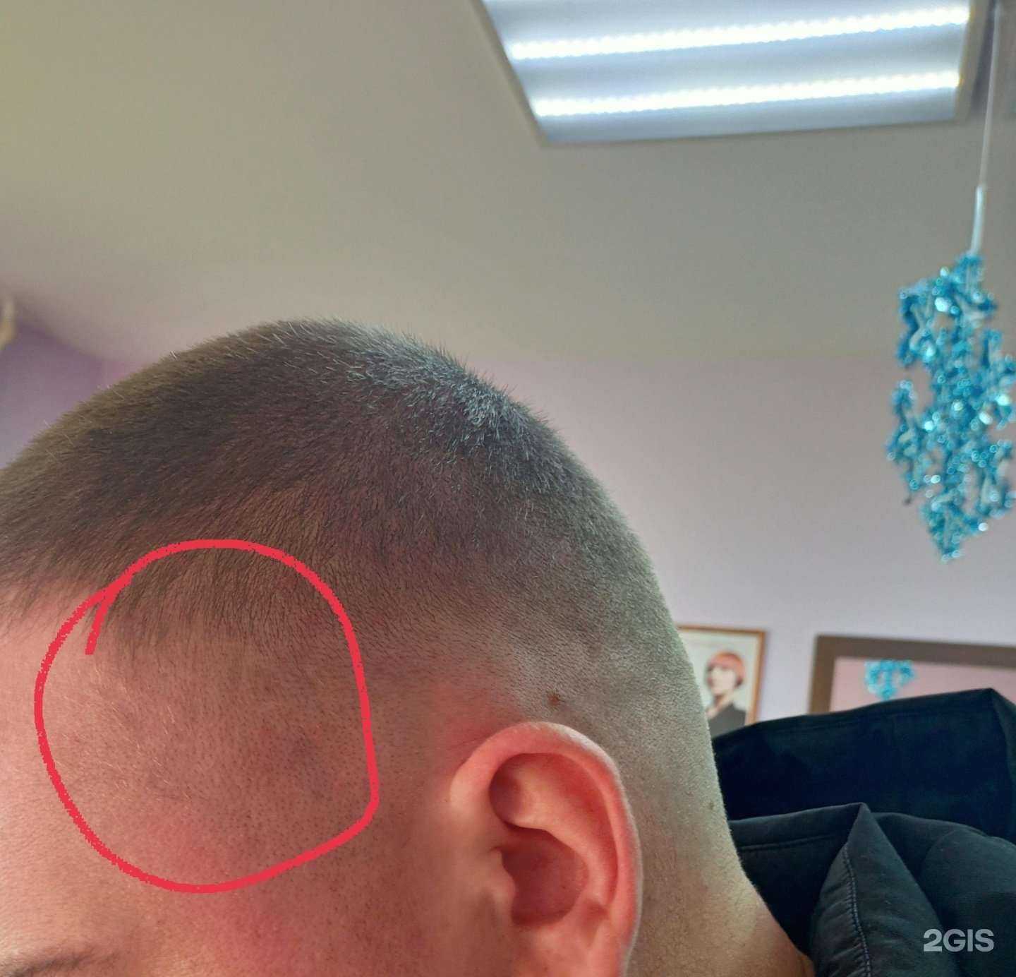 Отзывы на компанию Элис в Бийске c фото