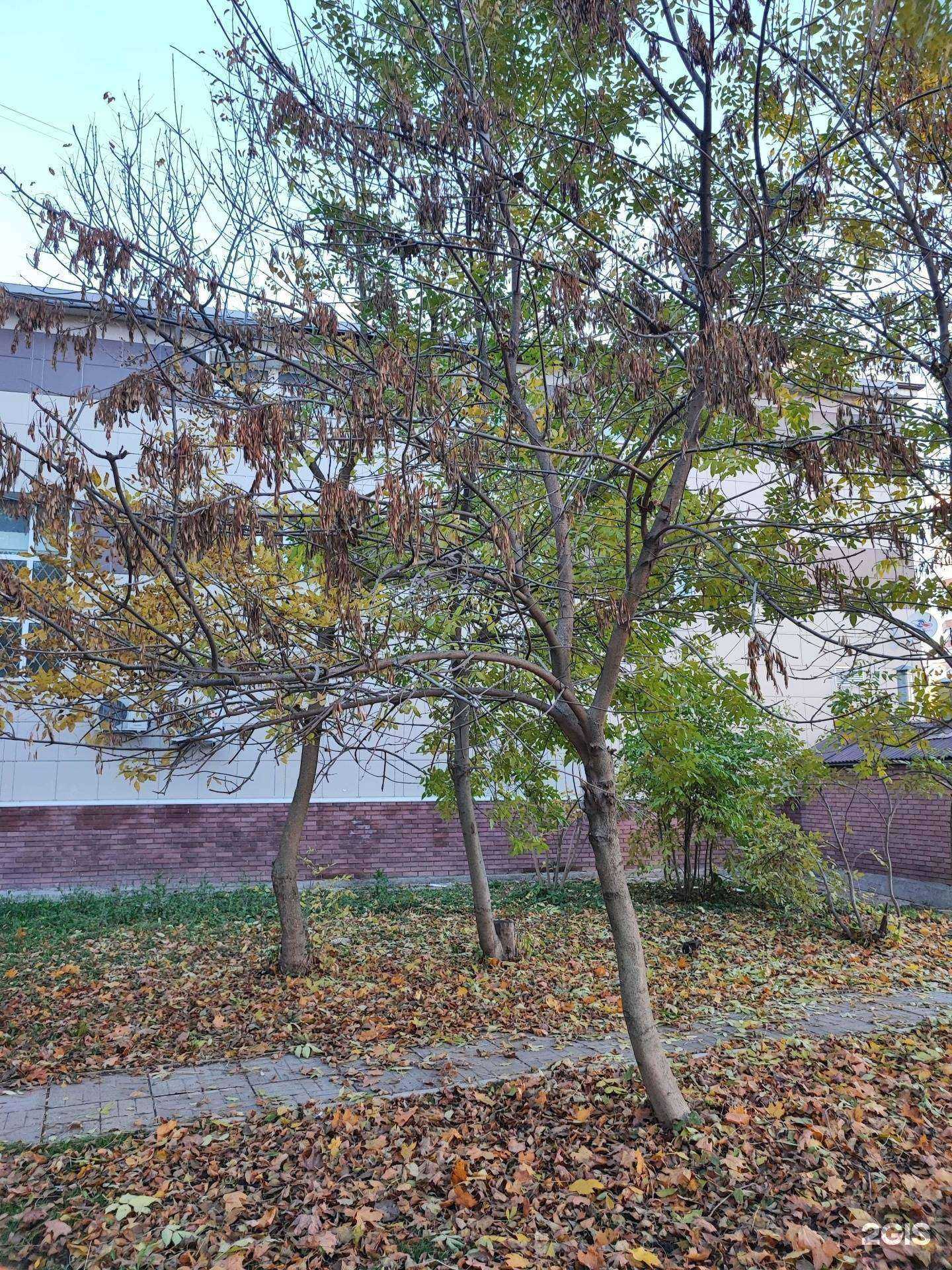 Отзывы на компанию Атташе в Наро-Фоминске c фото - фотография 2 из 2