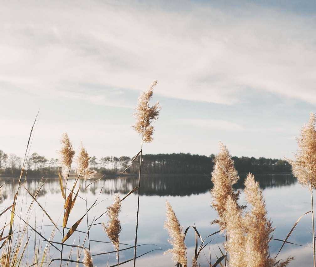 Отзывы на компанию НаЛадогу в г. Сортавала c фото
