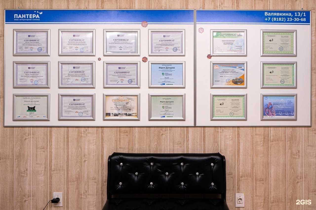 Отзывы на компанию Пантера в г. Архангельск c фото