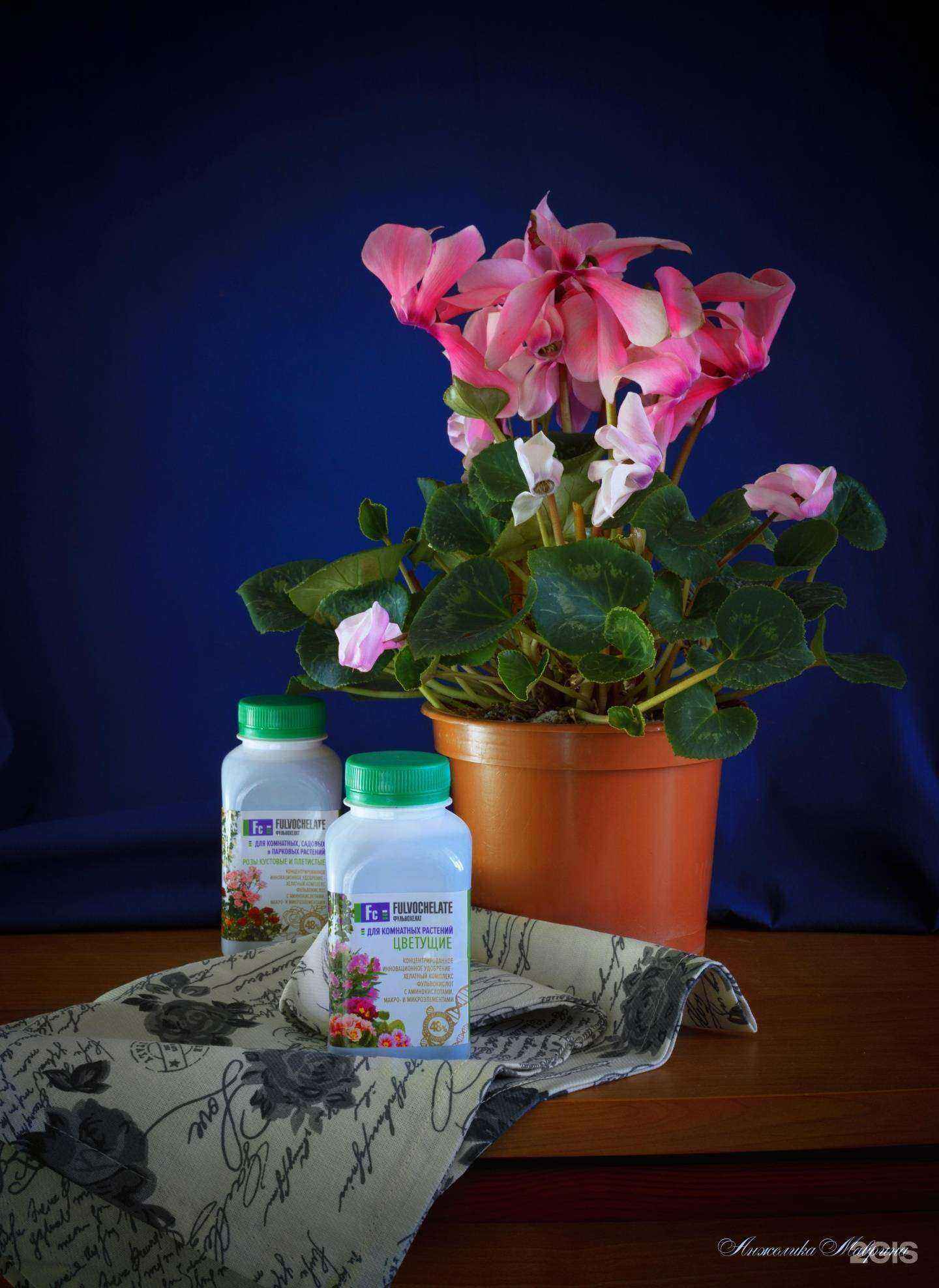 Отзывы на компанию Семена-база.рф в г. Волгоград c фото