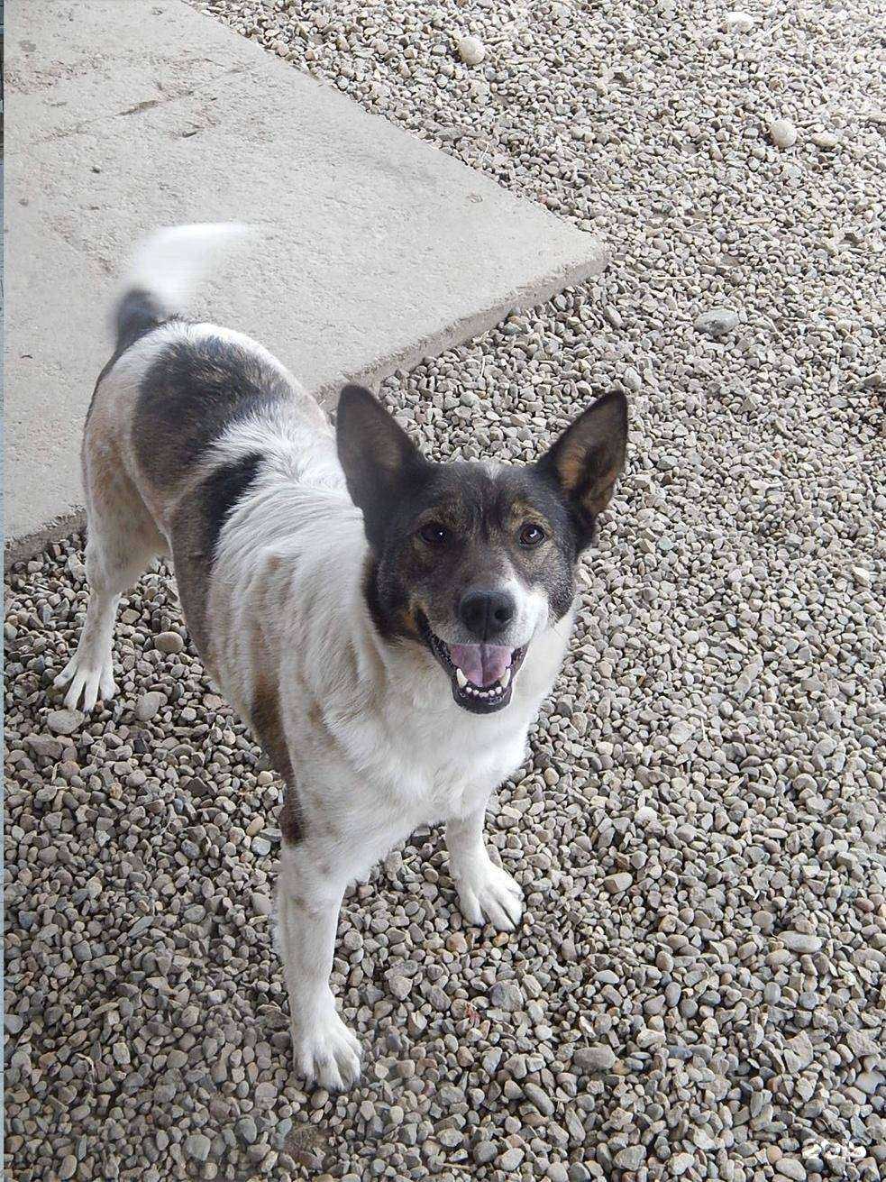 Отзывы на компанию Планета добра в г. Ангарск c фото