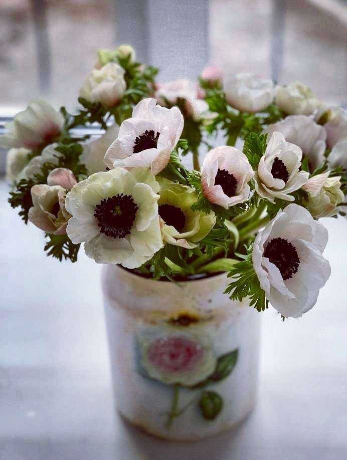 Отзывы на компанию M. B. Flowers в г. Екатеринбург c фото