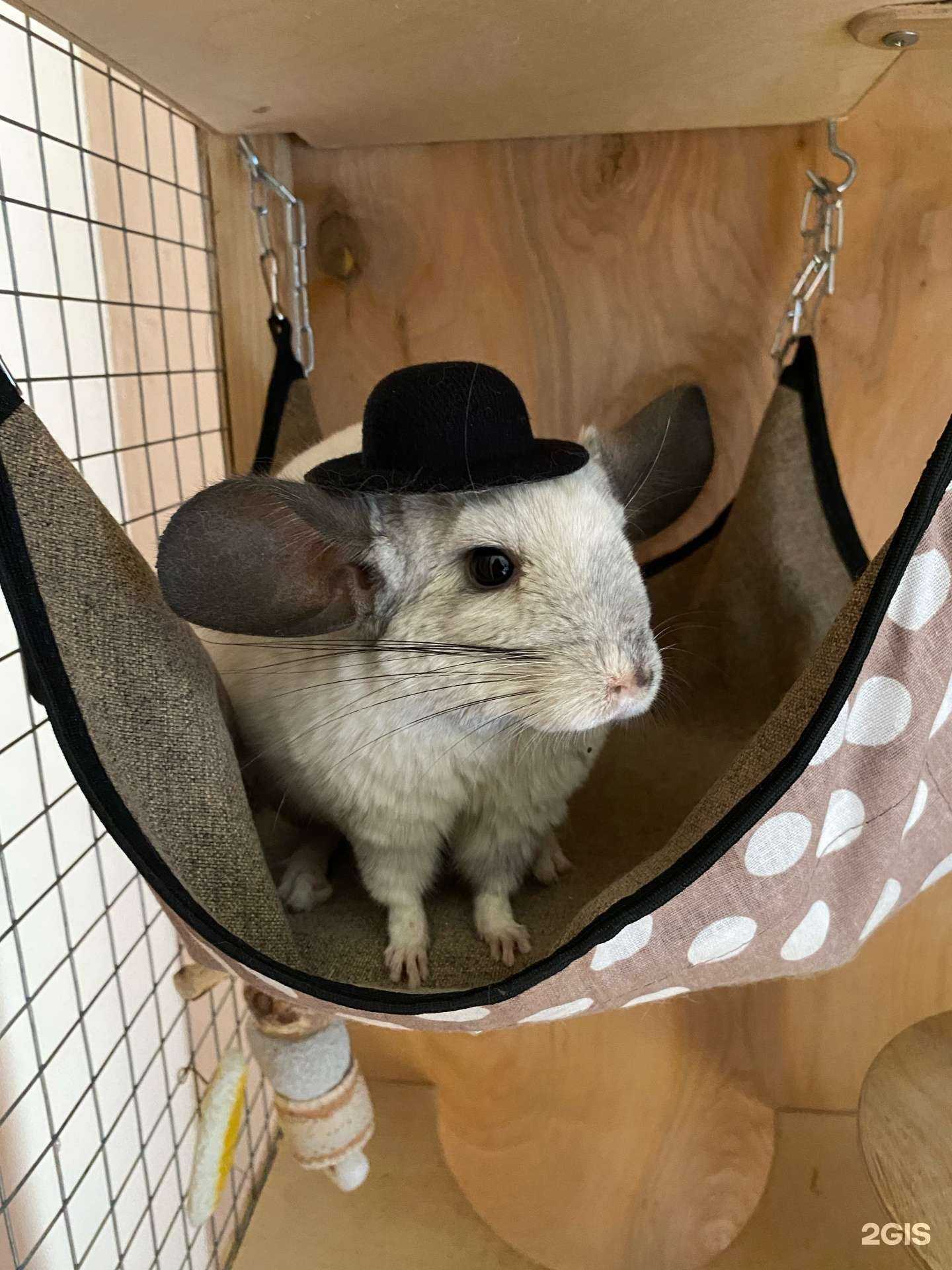 Отзывы на компанию Ателье по пошиву и ремонту одежды в г. Пятигорск c фото