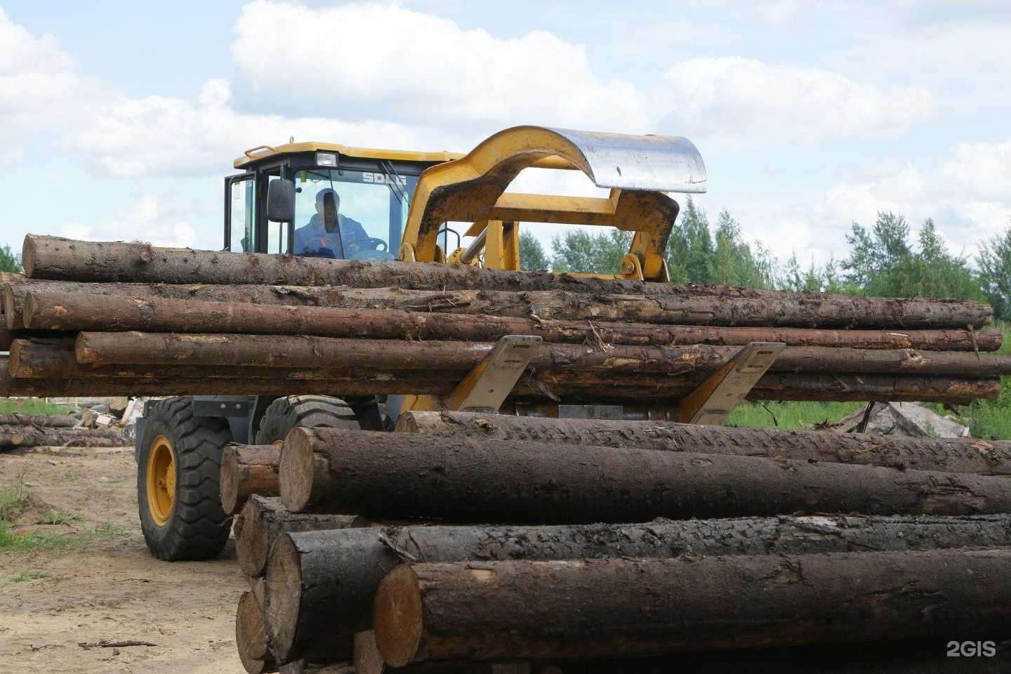 Отзывы на компанию Бирчвуд в Пскове c фото